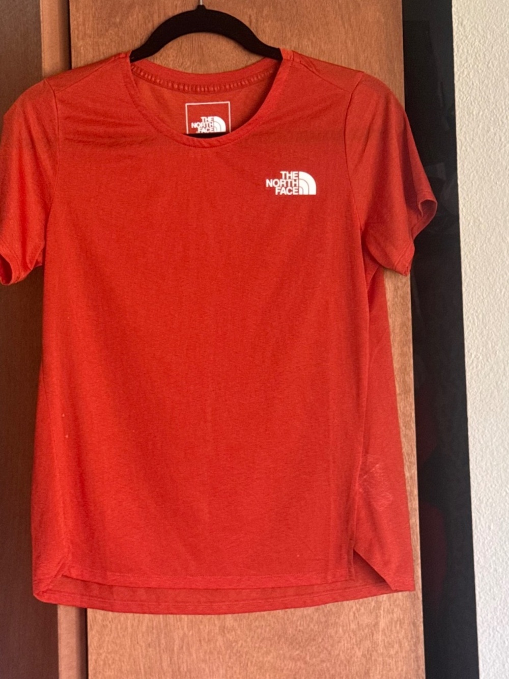 Rust north face sheer training tee